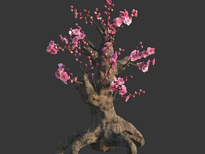 Blooming Arbor With Pink Blossoms Twisted Trunk And Gnarled Roots 3d model