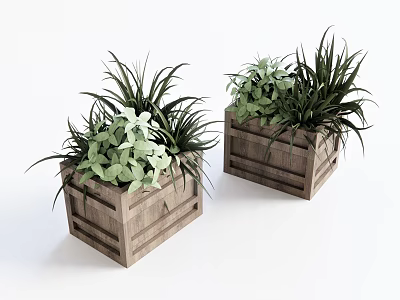 Decorative Potted Plants in Rustic Wooden Box Planters with Green Foliage 3d model