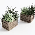 Decorative Potted Plants in Rustic Wooden Box Planters with Green Foliage