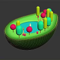 Cartoon Scene With Green Avocado Shaped Container Colorful Lollipop Structures And Small Blue Figure