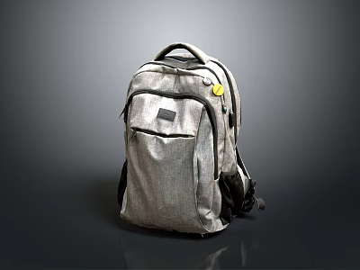 Gray Casual Backpack With Durable Fabric And Zipper Compartments For Everyday Use 3d model