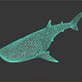 Whale Shark Featuring Spotted Skin And Streamlined Body In Marine Habitat