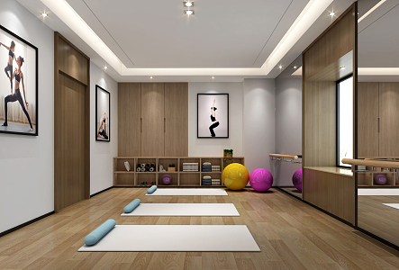 Modern Entertainment Room Yoga Room Guest Restaurant Tea Room 3d model