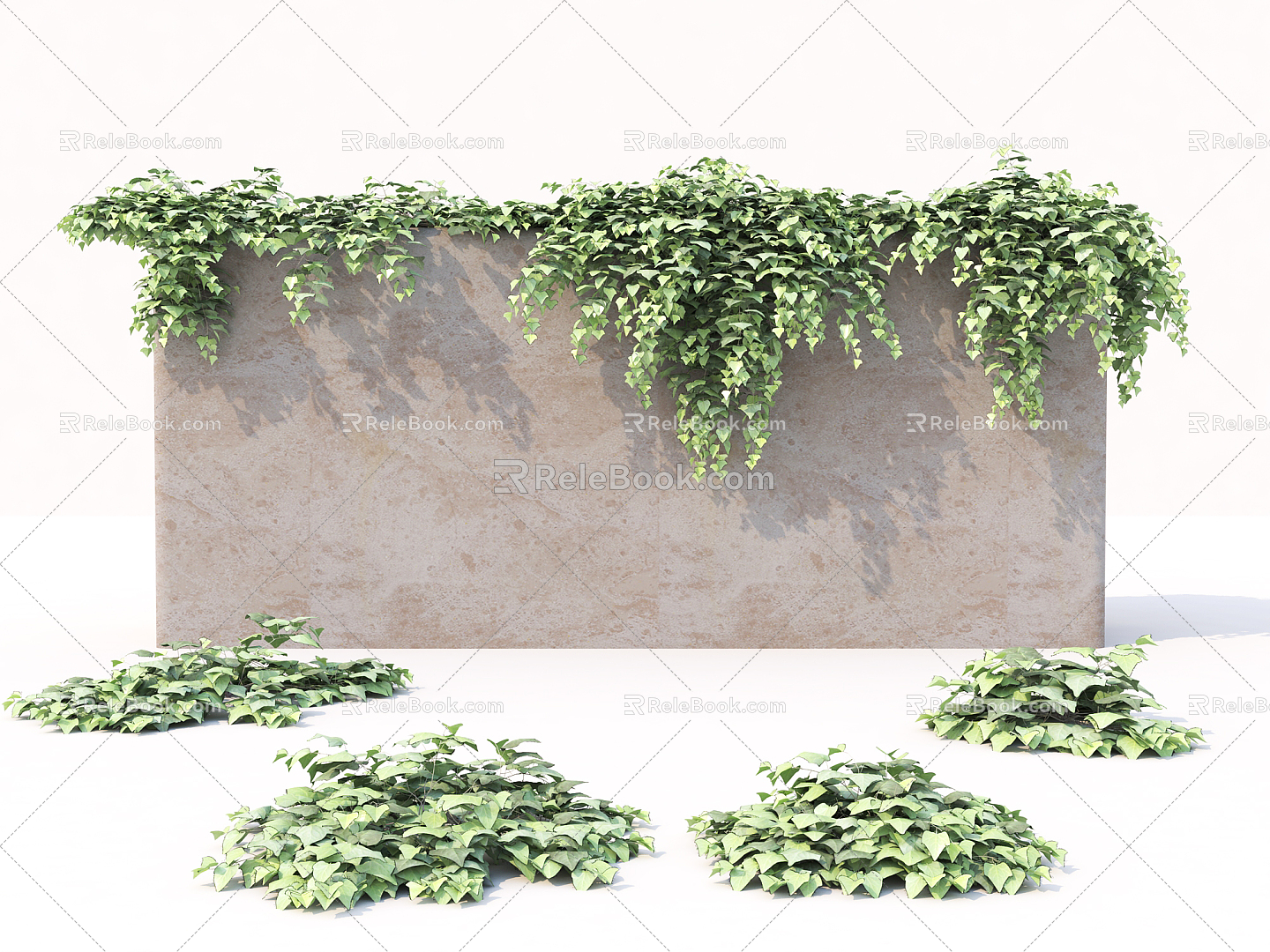 Modern Vine Vine Plant 3d model