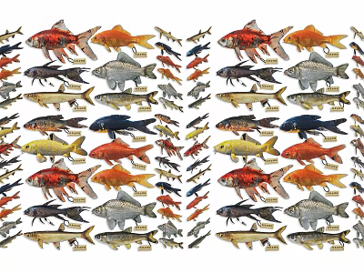 Various Colorful Aquatic Fish Species In Patterned Arrangement For Decorative 3d model
