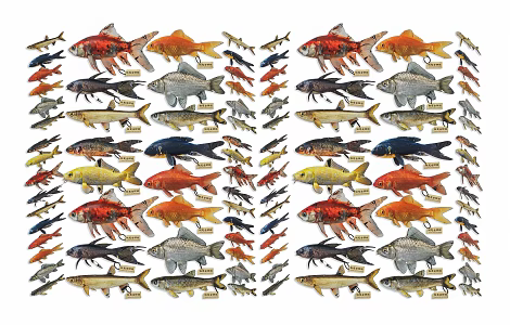 modern koi goldfish combination aquatic animal marine biological animal fish marine fish marine biological fish 3d model
