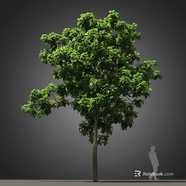 Lush Green Arbor With Dense Foliage And Thick Trunk Near Human Figure 3d model 