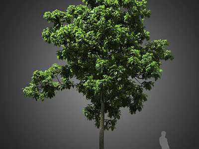 Lush Green Arbor With Dense Foliage And Thick Trunk Near Human Figure 3d model