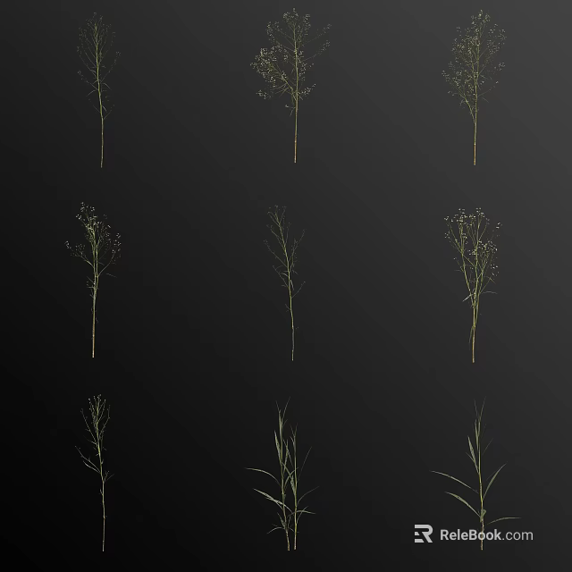 Multiple Slender Green Herbaceous Plants With Delicate Stems On Black Background 3d model 