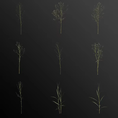 Multiple Slender Green Herbaceous Plants With Delicate Stems On Black Background 3d model