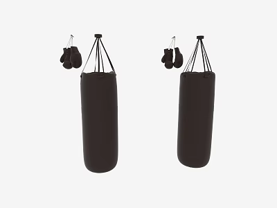 Professional Boxing Training Equipment Set With Heavy Duty Punching Bags And Gloves 3d model