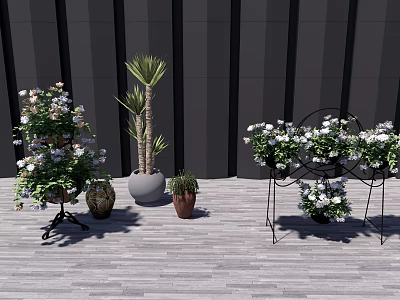 Various Bonsai and Potted Plants with Colorful Flowers and Green Leaves on Outdoor Wooden Deck 3d model