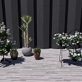Various Bonsai and Potted Plants with Colorful Flowers and Green Leaves on Outdoor Wooden Deck