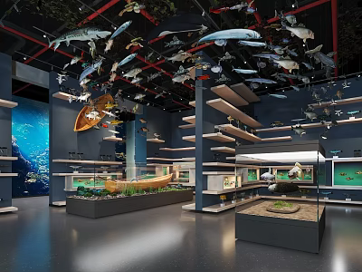 Marine Life Museum Exhibition Hall With Hanging Animal Models Display Cases And Underwater Murals 3d model