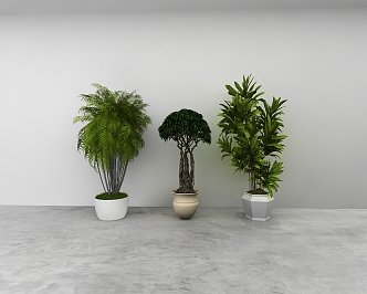 green plant 3d model