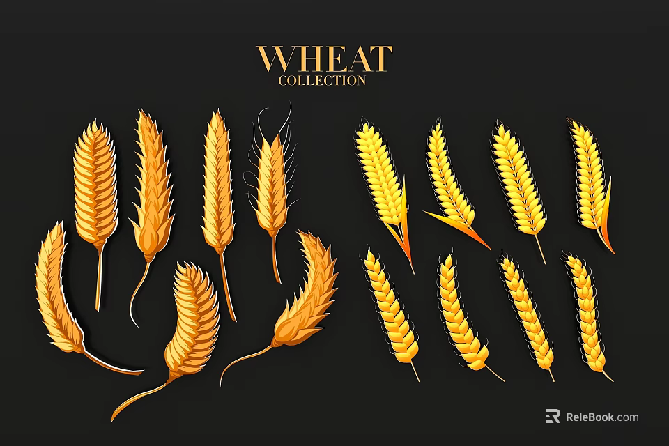 Golden Wheat Collection With Beautiful Ears Arranged On Black Background 3d model 