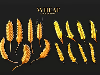 Golden Wheat Collection With Beautiful Ears Arranged On Black Background 3d model