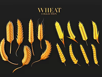 Grain Plant Wheat Golden Ears Wheat Illustration 3d model