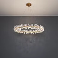 Elegant Modern Crystal Chandelier With Circular Gold Frame And Intricate Design