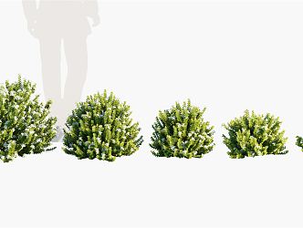 Modern Shrub Landscape Plants Shrubs Flowers 3d model