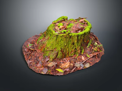 Arbor Stump Covered With Green Moss And Surrounded By Fallen Leaves Twigs On Dark Background 3d model