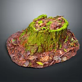 Arbor Stump Covered With Green Moss And Surrounded By Fallen Leaves Twigs On Dark Background