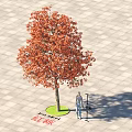 Red Cotton Tree With Red Leaves On Paved Ground Near Standing Person
