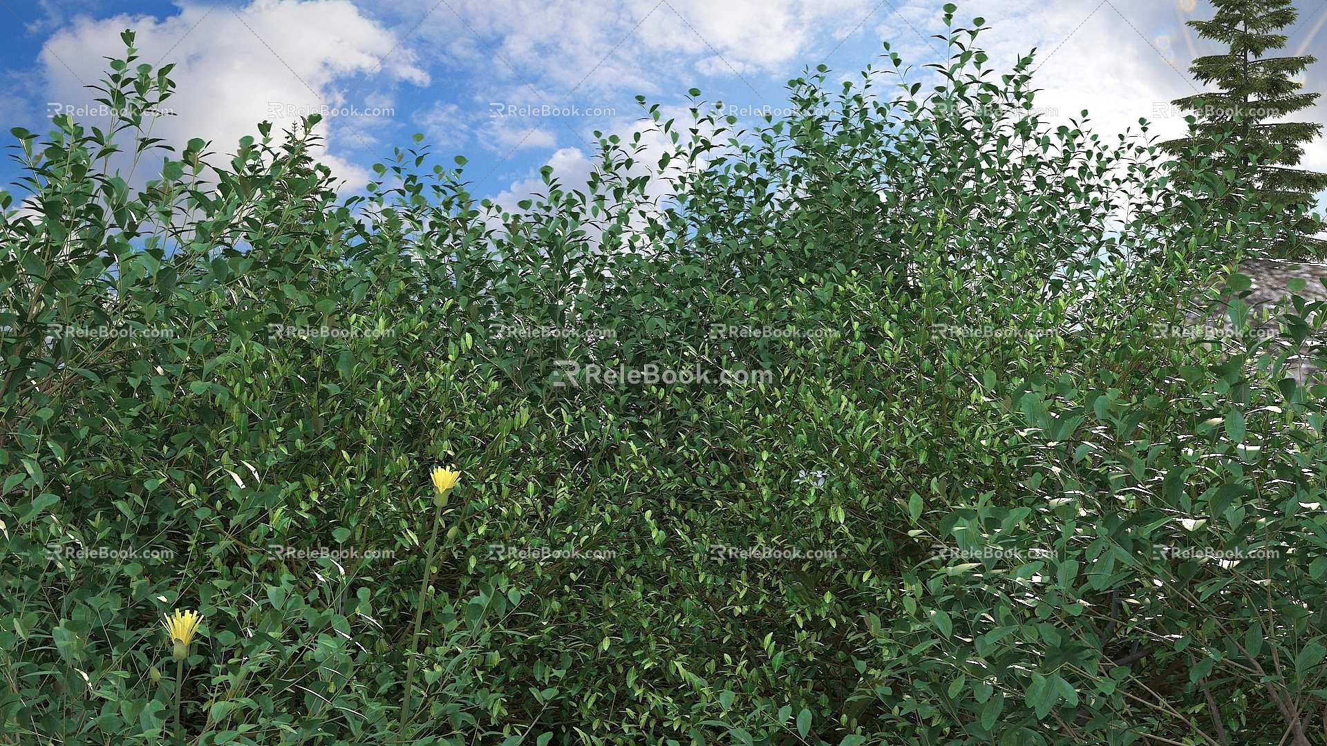 Modern Landscape Shrub Shrub Plant Combination Natural Landscape 3d model