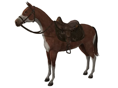 Brown And White Horse With Saddle And Bridle Standing Gracefully 3d model