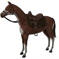 Brown And White Horse With Saddle And Bridle Standing Gracefully