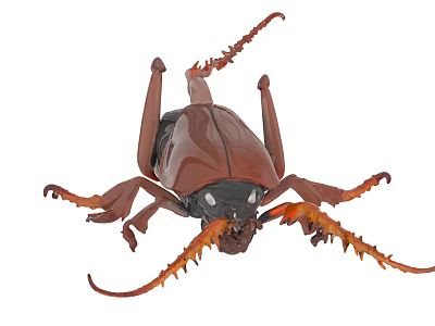 Realistic Detailed Brown Beetle With Large Mandibles And Spiny Legs 3d model