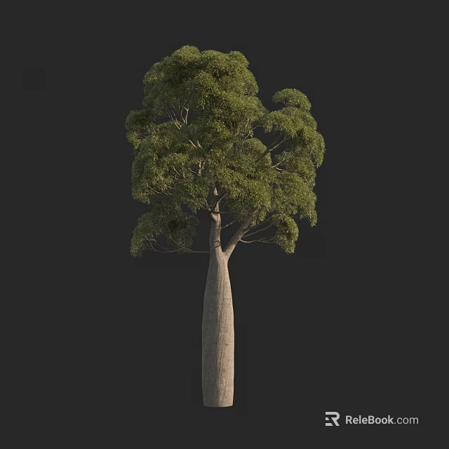 Tall Arbor With Thick Trunk And Lush Green Foliage Against Black Background 3d model 