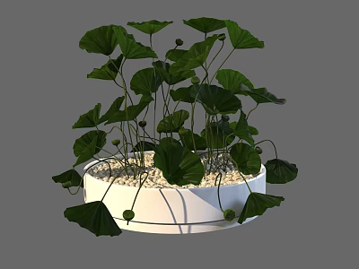 Round White Vase With Green Leafy Plants And White Pebbles Interior Decor 3d model