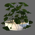 Round White Vase With Green Leafy Plants And White Pebbles Interior Decor 3d model