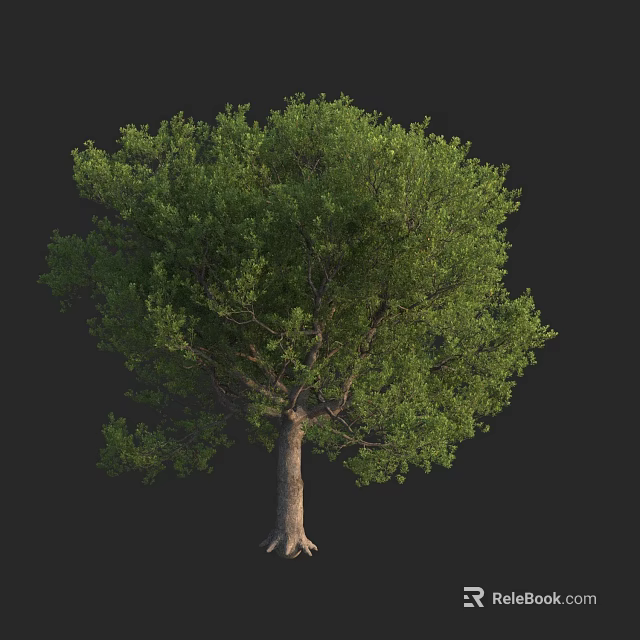Lush Green Arbor Tree With Dense Foliage Strong Brown Trunk And Vibrant Leaves 3d model 