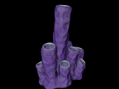 Purple Tube Sponge Aquatic Animal with Textured Tubes in Marine Habitat 3d model