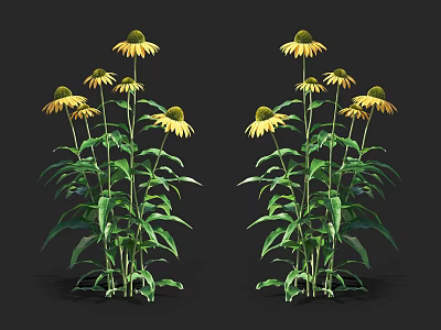 Vibrant Yellow Flowers With Green Stems And Lush Leaves On Black Background 3d model