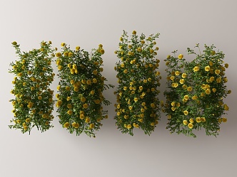 Modern Vine 3d model