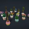 Various Potted Plants In Colorful Different Shaped Pots With Flowering And Green Leaf Varieties