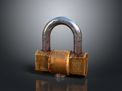 Hardware Tools Rustic Brass Padlock With Metal U Shaped Shackle And Wing D12 Design 3d model