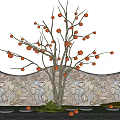 Garden Fruit Tree Orchard Persimmon Tree Landscape Tree Point View Tree Courtyard Landscape 3d model