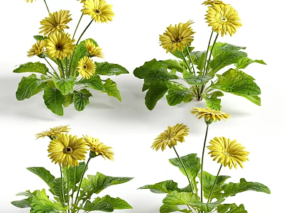 Vibrant Yellow Flowers With Fresh Green Leaves In Multiple Plant Stems 3d model
