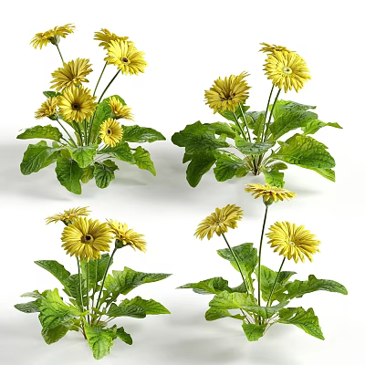 Vibrant Yellow Flowers With Fresh Green Leaves In Multiple Plant Stems 3d model