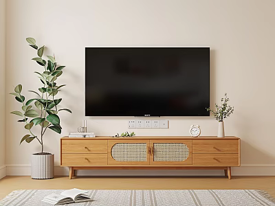 Modern Wooden TV Stand With Drawers Rattan Doors Wall Mounted TV And Potted Plants 3d model