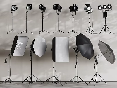 Professional Studio Photography Lighting Kit With Flash Softbox Umbrella And Light Stand 3d model