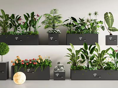 Indoor Decorative Plant Combinations With Various Green Plants Colorful Flowers And Modern Planters 3d model