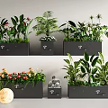Indoor Decorative Plant Combinations With Various Green Plants Colorful Flowers And Modern Planters