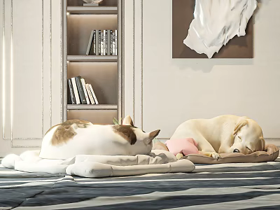 Cozy Indoor Space With Cat And Dog Sleeping On Soft Rug Near Bookshelf And Painting 3d model
