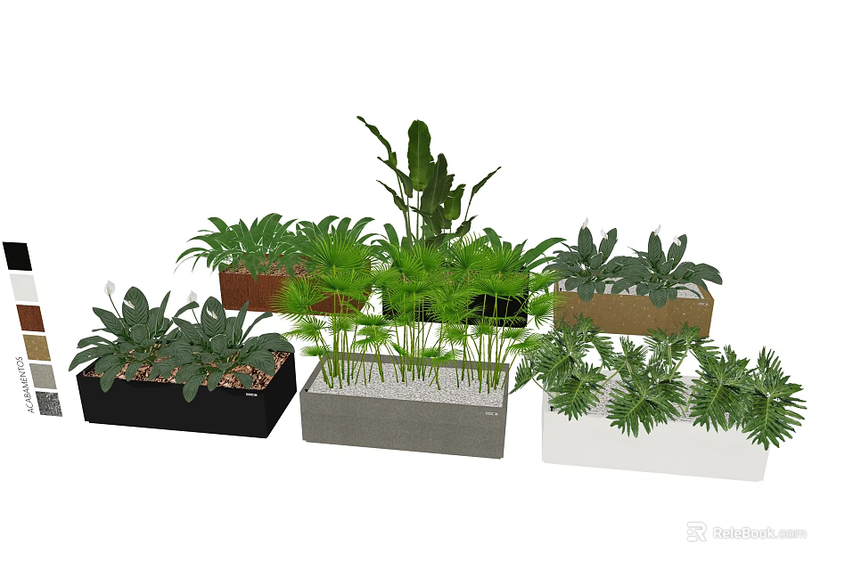 Varied Bonsai Planters With Diverse Green Plants In Concrete Wooden Ceramic Containers 3d model 
