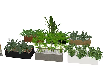 Varied Bonsai Planters With Diverse Green Plants In Concrete Wooden Ceramic Containers 3d model